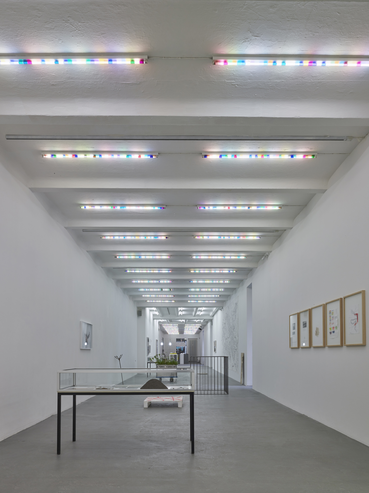 Color filters on existing flourescent tubes, installation view nGbK Berlin